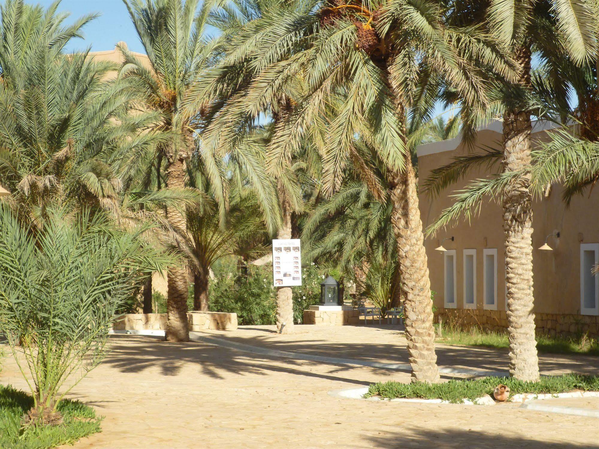 Campement Yadis Ksar Ghilane Extérieur photo